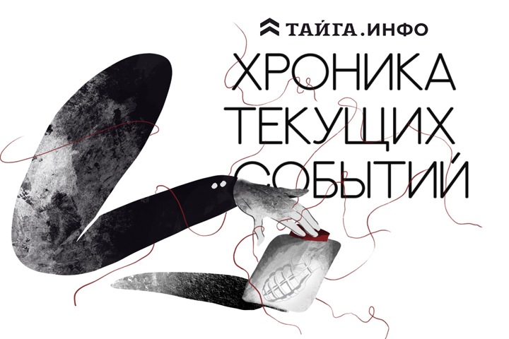 Хроника текущих событий. Экономика, общество, политика. Выпуск 220