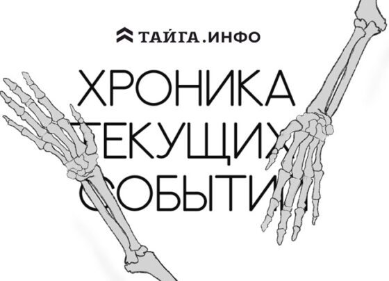 Хроника текущих событий. Экономика, общество, политика. Выпуск 222