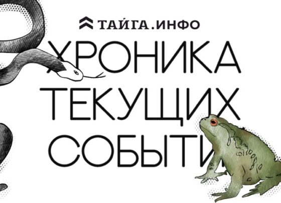Хроника текущих событий. Экономика, общество, политика. Выпуск 234