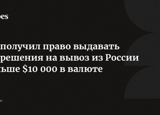 ЦБ получил право выдавать разрешения на вывоз из России больше $10 000 в валюте