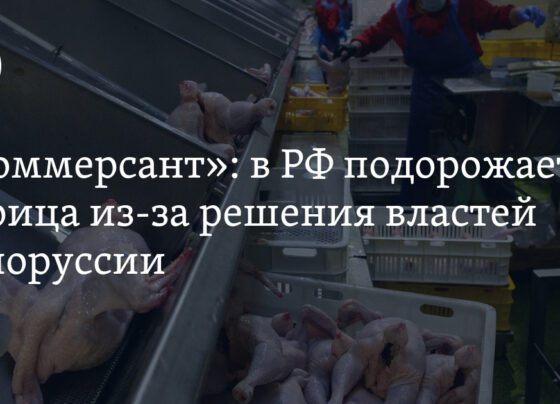 Цены на куриное мясо в магазинах