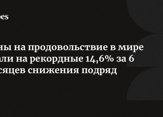 Цены на продовольствие в мире упали на рекордные 14,6% за 6 месяцев снижения подряд