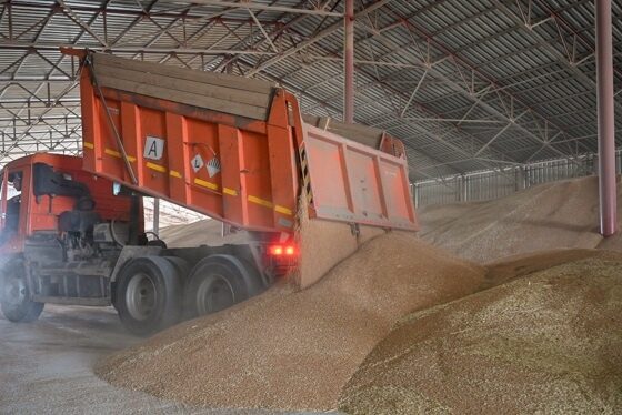 в Волгоградской области по вине фермера в зерноприемнике погиб подросток