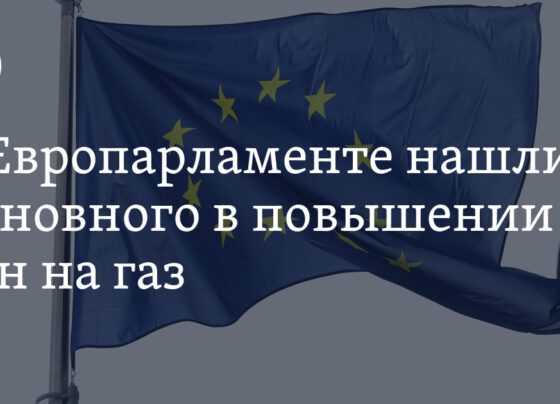 в Европарламенте нашли виновного в повышении цен на газ