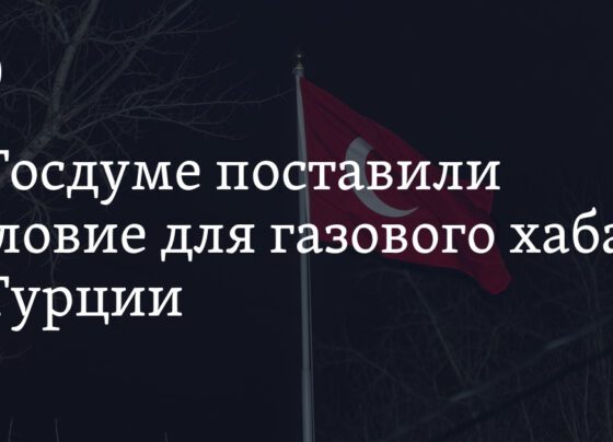 депутат Госдумы предложил поставить ультиматум для Анкары