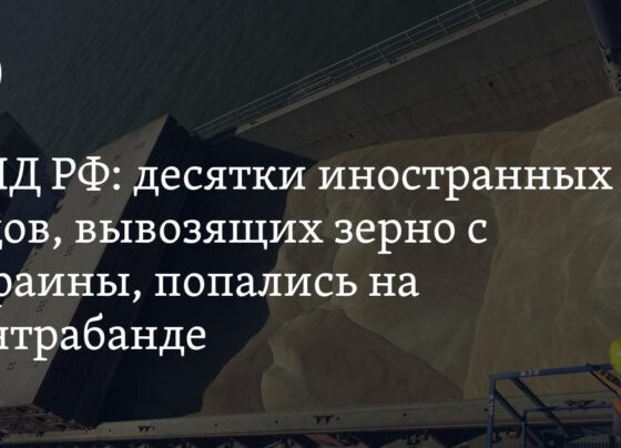 контрабанда продовольствия, заявление МИД РФ