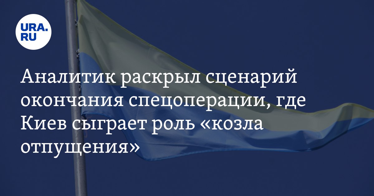 мнение аналитика об окончании спецоперации на Украине, издание Al-Ain