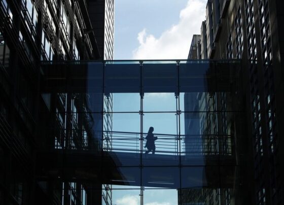 Восстановления рынка IPO можно ожидать в ближайшие месяцы - глава Goldman Sachs