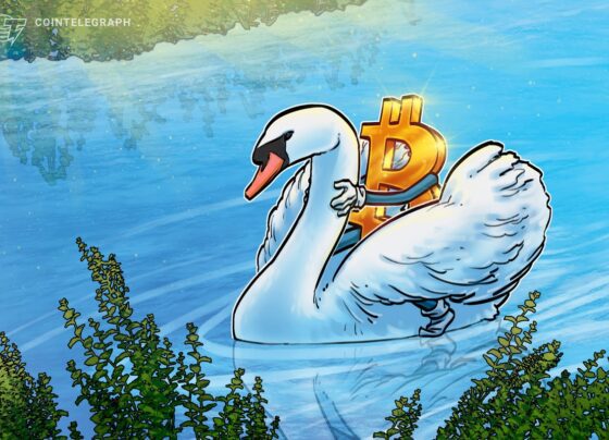 Что такое Swan Bitcoin и как он работает?