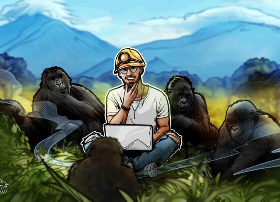 How Bitcoin mining saved Africa