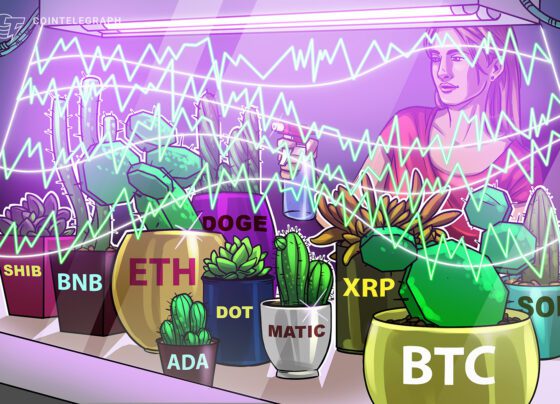 Price analysis 2/24: BTC, ETH, BNB, XRP, ADA, DOGE, MATIC, SOL, DOT, SHIB