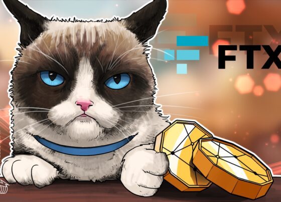 Hodlnaut works with potential buyers to sell firm and FTX claims: Report