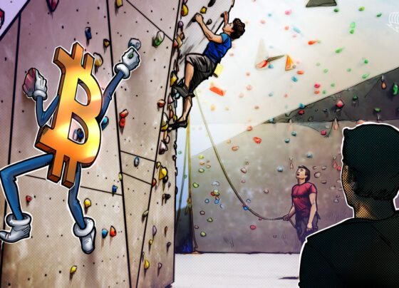 Bitcoin price eyes $24K retest as US dollar dives into monthly close