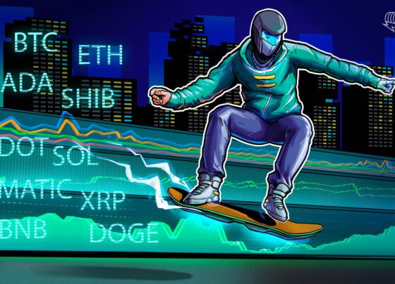 BTC, ETH, BNB, XRP, ADA, DOGE, MATIC, SOL, DOT, SHIB