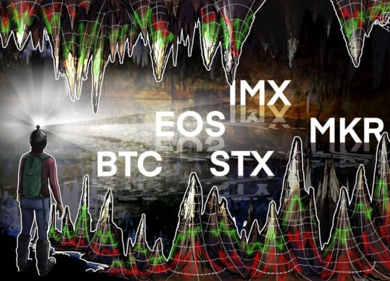 EOS, STX, IMX и MKR показывают бычьи признаки, поскольку Биткойн ищет направление