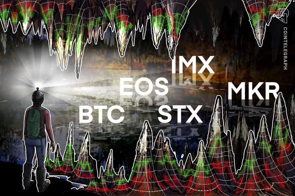 EOS, STX, IMX и MKR показывают бычьи признаки, поскольку Биткойн ищет направление