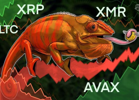 XRP, LTC, XMR и AVAX демонстрируют оптимистичные признаки, поскольку Биткойн борется за сохранение 28 тысяч долларов