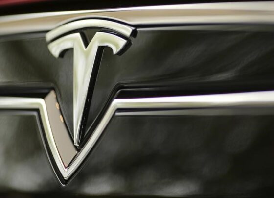 Акции Tesla подешевели на 5% после анонса выпуска более доступной модели