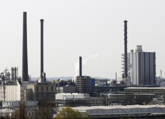 Совет директоров «Фосагро» рекомендовал дивиденды за четвертый квартал