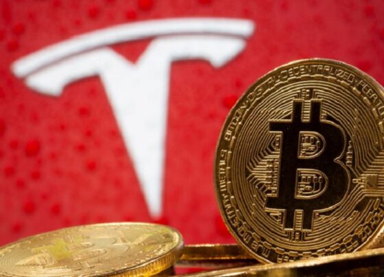 Аналитики предсказали рекордное падение прибыли Tesla