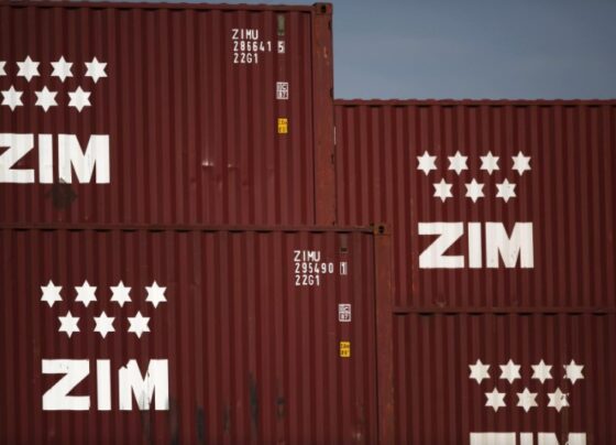 ZIM Integrated Shipping Services: доходы, прибыль оказались ниже прогнозов в Q1