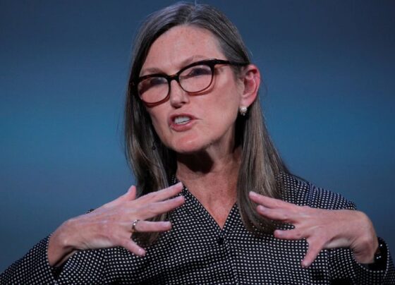 Кэти Вуд уверена, что стоимость Nvidia завышена