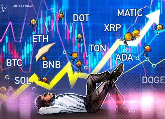 BTC, ETH, BNB, XRP, ADA, DOGE, SOL, TON, DOT, MATIC