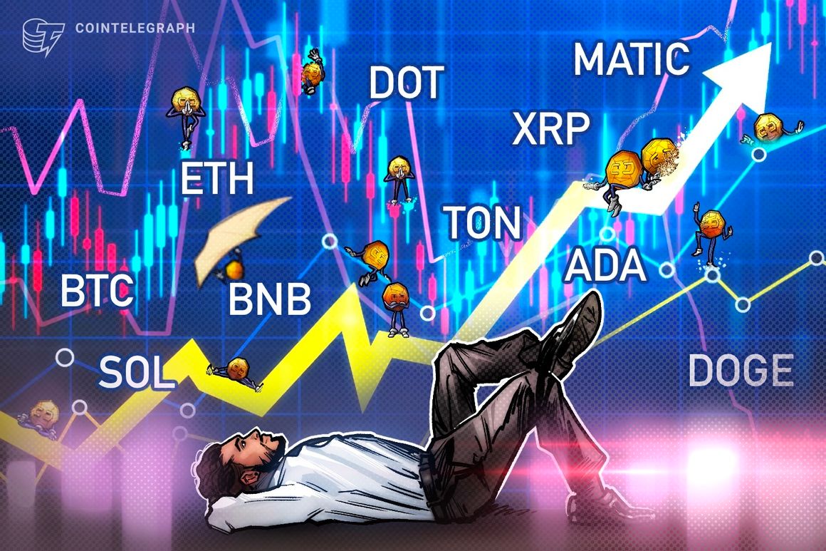 BTC, ETH, BNB, XRP, ADA, DOGE, SOL, TON, DOT, MATIC