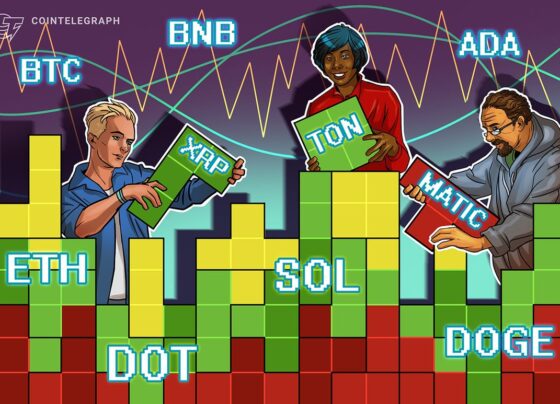 BTC, ETH, BNB, XRP, ADA, DOGE, SOL, TON, DOT, MATIC