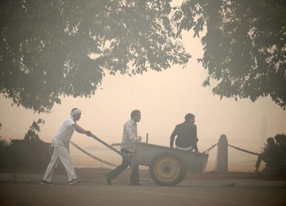 JPMorgan прогнозирует бум продаж акций в Индии