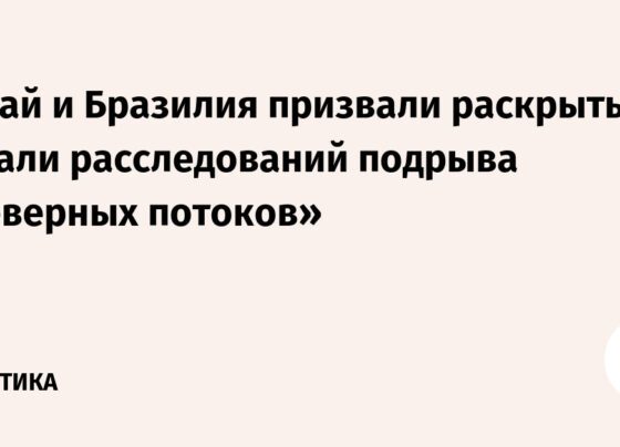 Китай и Бразилия призвали раскрыть детали расследований подрыва «Северных потоков»