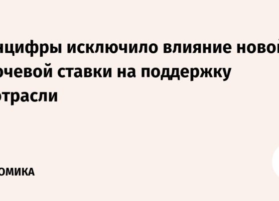 Минцифры исключило влияние новой ключевой ставки на поддержку IТ-отрасли