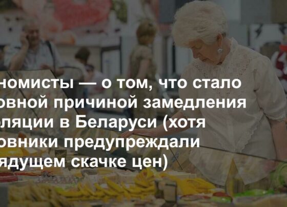 Экономисты — о том, что стало основной причиной замедления инфляции в Беларуси (хотя чиновники предупреждали о грядущем скачке цен) - ZERKALO.IO: Новости