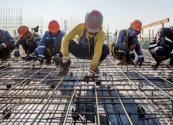 в Петербурге снизилась конкуренция за рабочие места