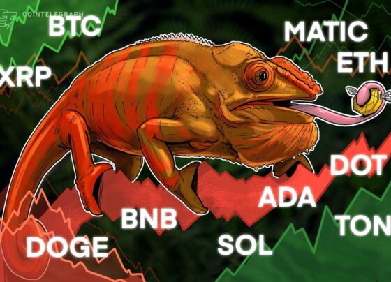 BTC, ETH, BNB, XRP, SOL, ADA, DOGE, TON, DOT, MATIC