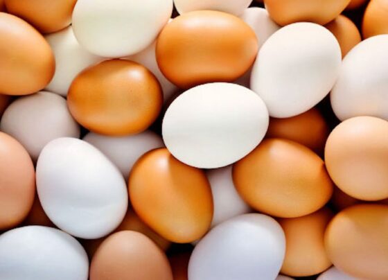 как изменятся цены до конца года