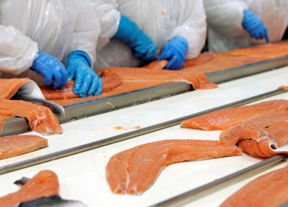 Крупнейший производитель лосося проведет SPO на Мосбирже
