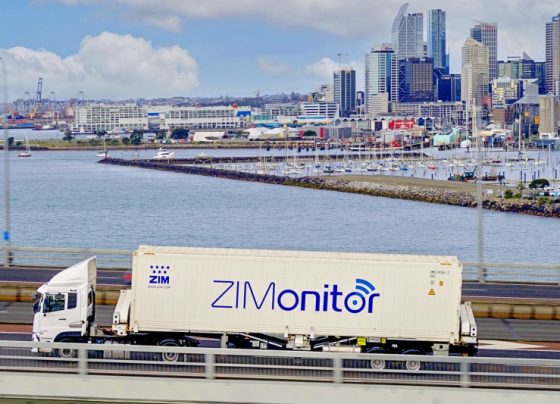 ZIM Integrated Shipping Services: доходы, прибыль оказались ниже прогнозов в Q3