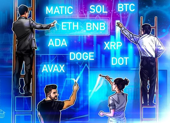 BTC, ETH, BNB, XRP, SOL, ADA, DOGE, AVAX, DOT, MATIC