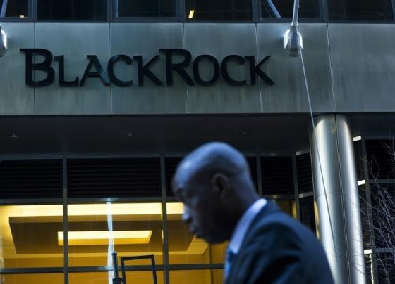 «Экономика США выбирается из ямы»: BlackRock предупредил о волатильности рынка