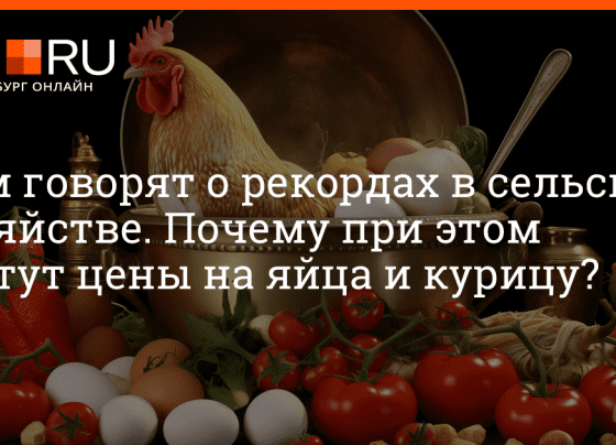 Почему растут цены на мясо, яйцо и молоко, эксперты дали экономические прогнозы на 2024 год - 13 декабря 2023