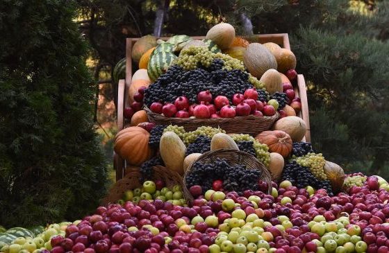 Россия готова закупать продукцию Таджикистана