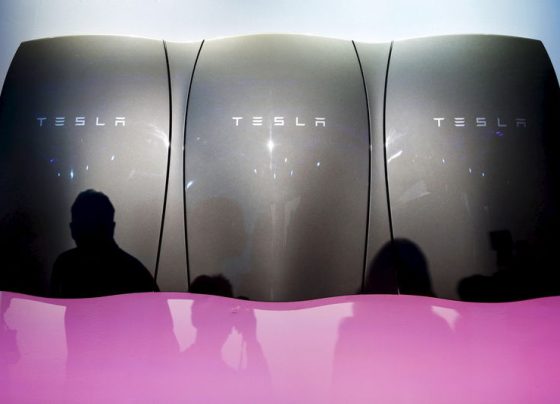 Фонд GMO превзошел S&P 500 даже без акций Nvidia и Tesla