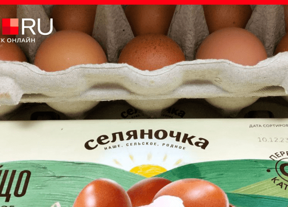 Экономика и кризис-2023: из-за чего подорожали яйца и когда они подешевеют, надо ли запасаться яйцами, прилавки российских магазинов завалят турецкими яйцами - 23 декабря 2023
