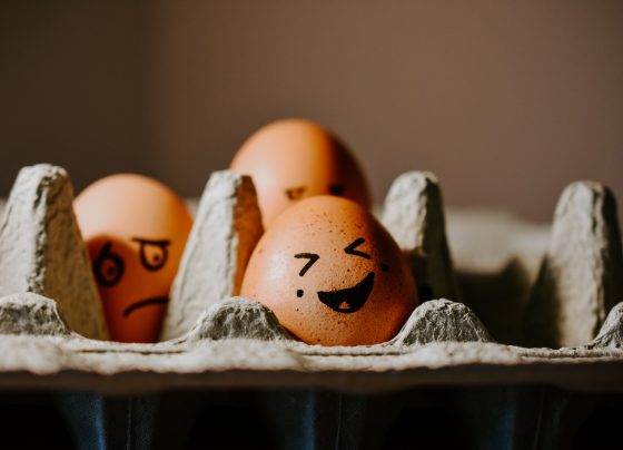 в сельском хозяйстве назвали настоящую причину бешеного роста цен на яйца