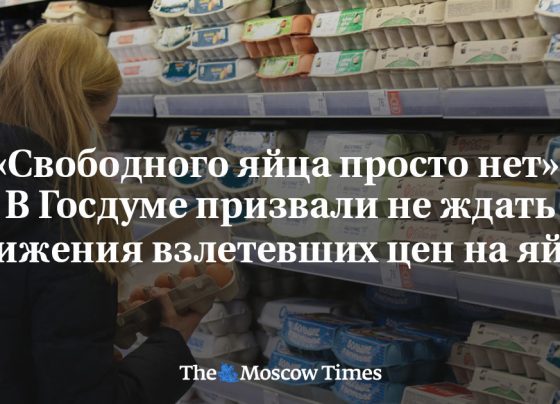 «Свободного яйца просто нет». В Госдуме призвали не ждать снижения взлетевших цен на яйца