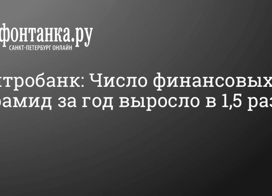 Центробанк: Число финансовых пирамид за год выросло в 1,5 раза - Фонтанка.Ру