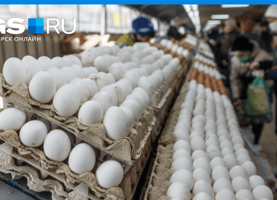 Экономисты объяснили, почему скандальные турецкие яйца в итоге не попали в российские магазины: почему так сильно подорожали яйца и куда они пропали, зачем яйца везут из Турции, экономический кризис в России - 9 февраля 2024