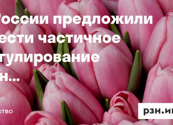 В России предложили ввести частичное регулирование цен на цветы — Новости — город Рязань на городском сайте RZN.info