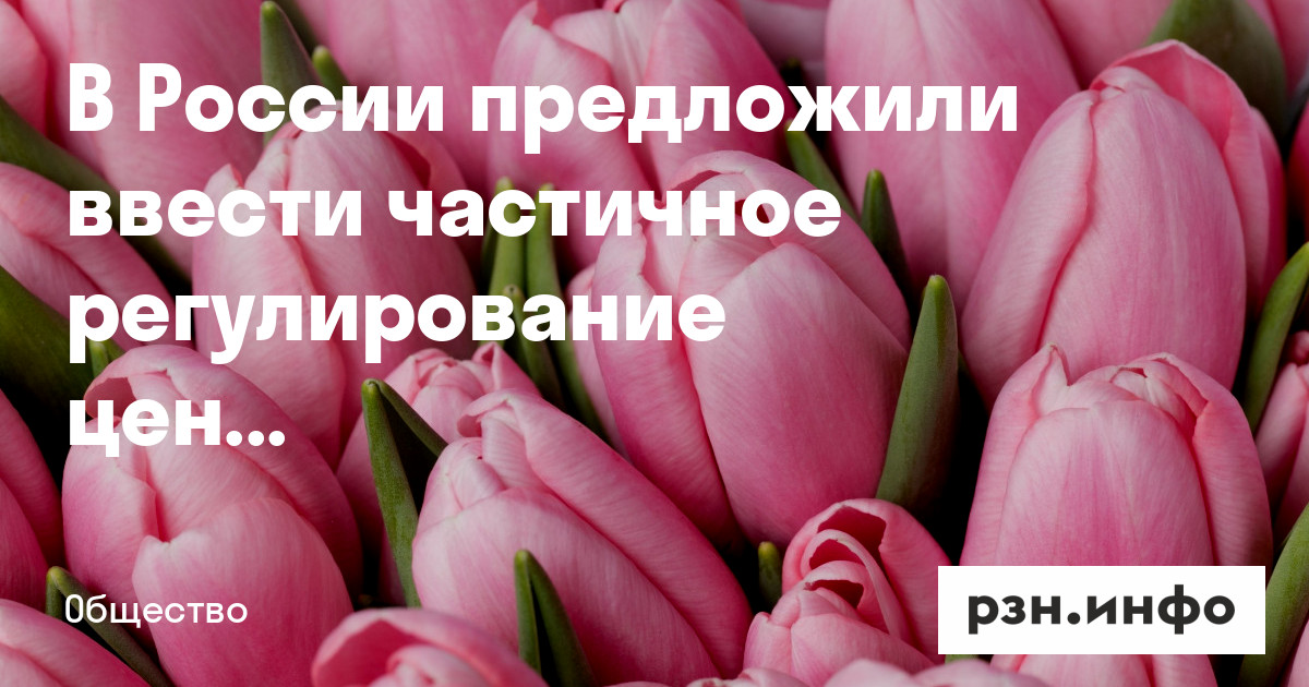 В России предложили ввести частичное регулирование цен на цветы — Новости — город Рязань на городском сайте RZN.info